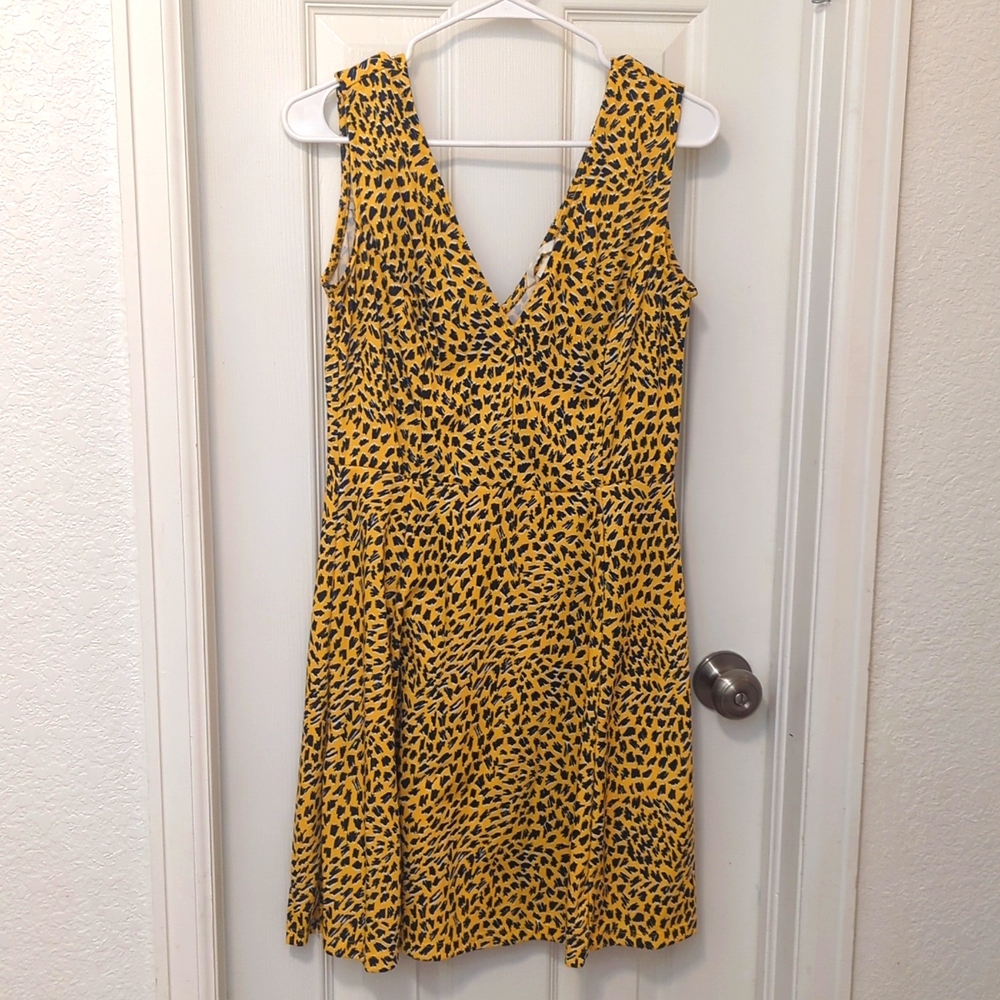 H & M Dress